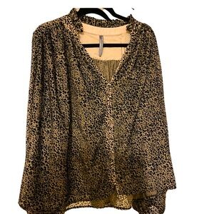 Anthropologie Leopard Print Blouse